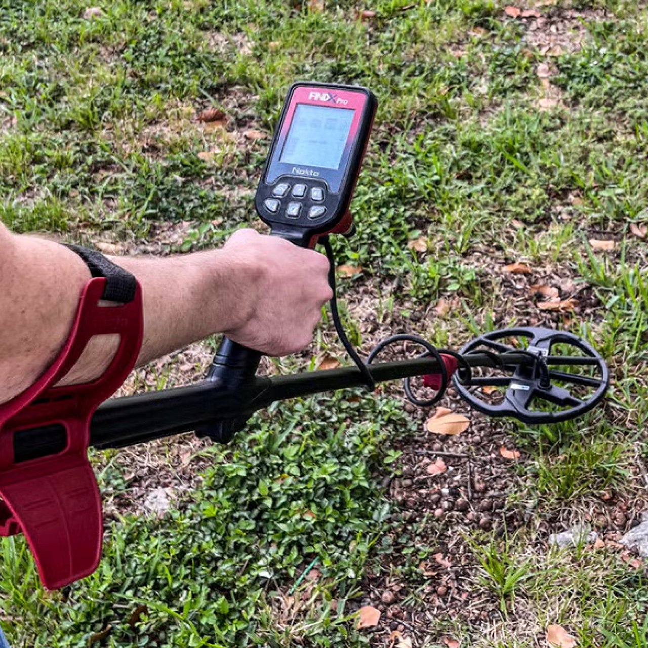 Metal detecting coin finds