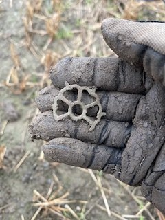 Community find image