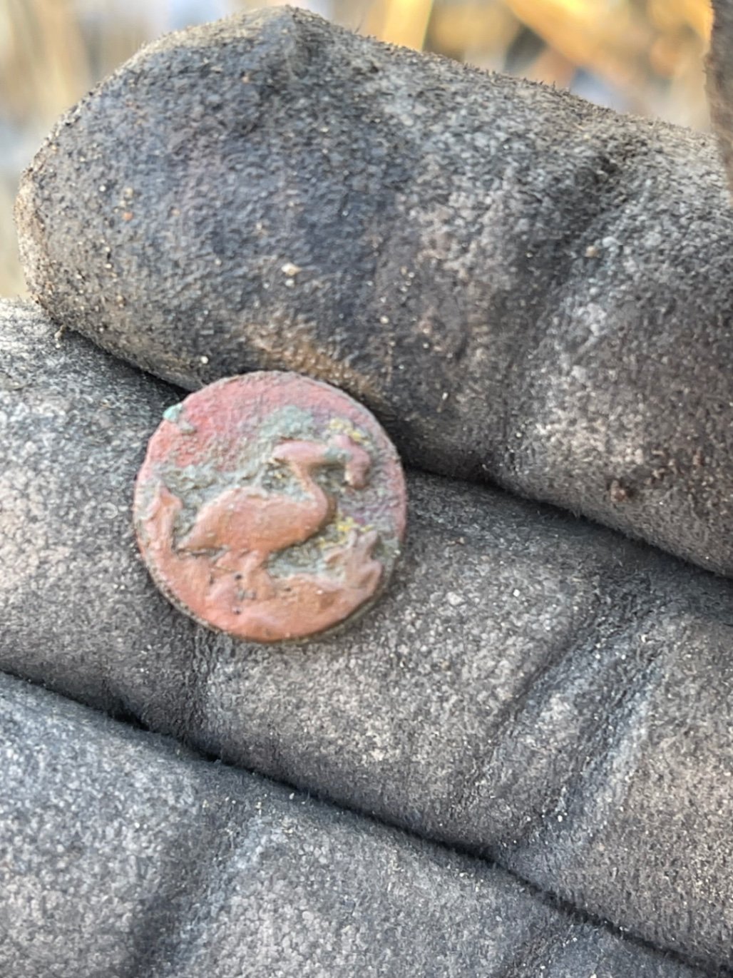 Community find image