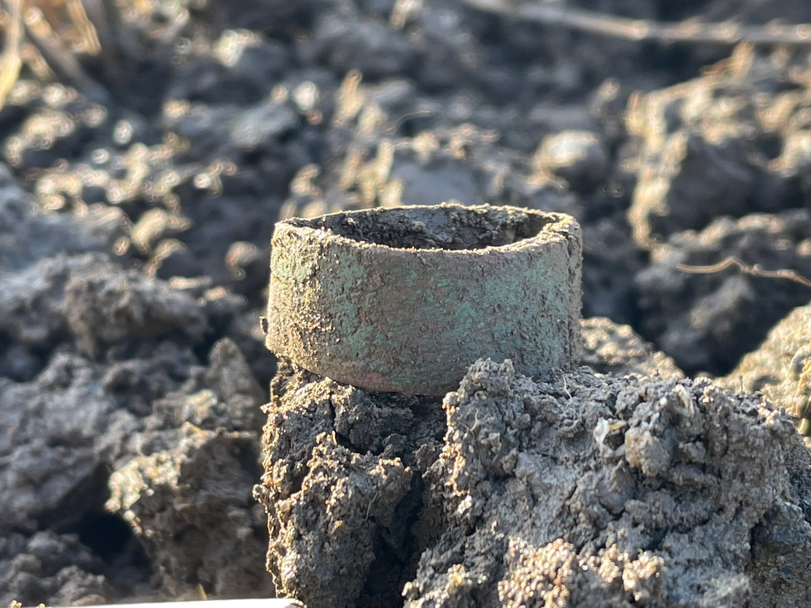 Community find image