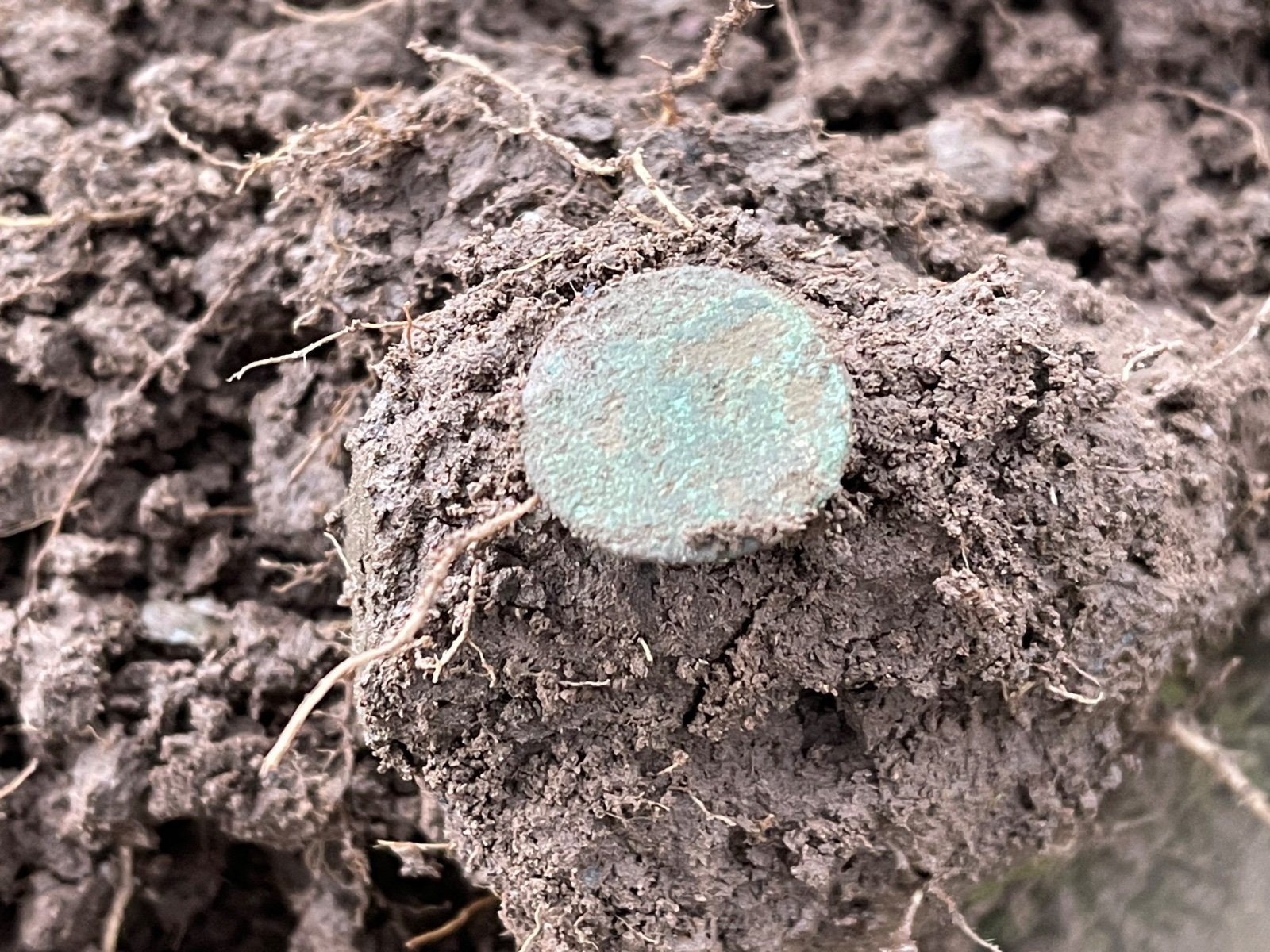 Community find image