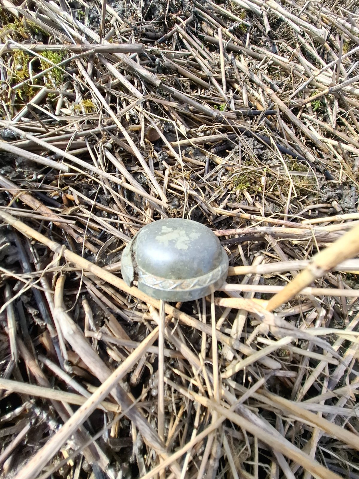 Community find image